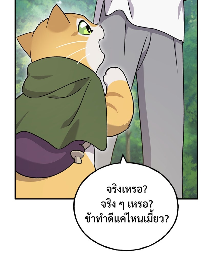ปลูกผักพิชิตหอคอย - หน้า 45