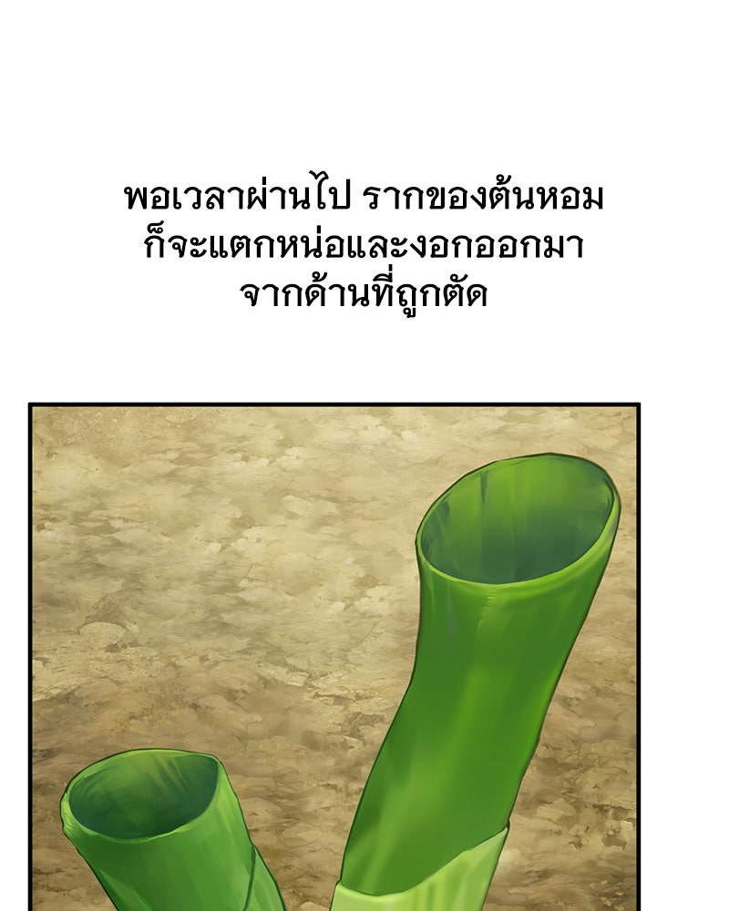 ปลูกผักพิชิตหอคอย - หน้า 95