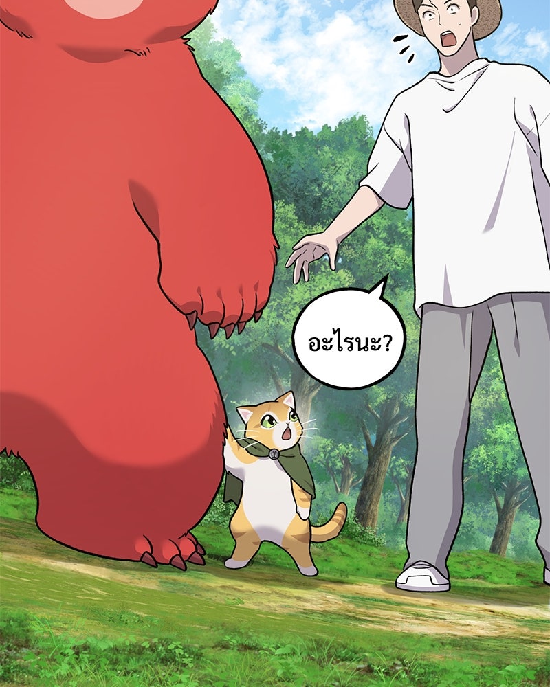 ปลูกผักพิชิตหอคอย - หน้า 43