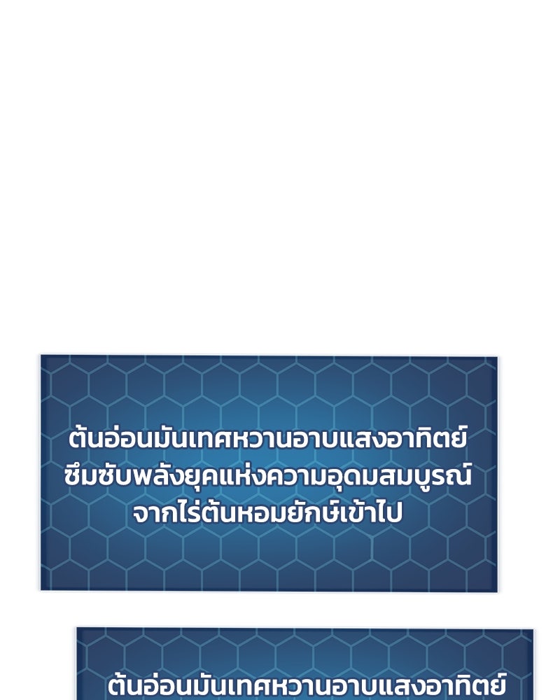 ปลูกผักพิชิตหอคอย - หน้า 145