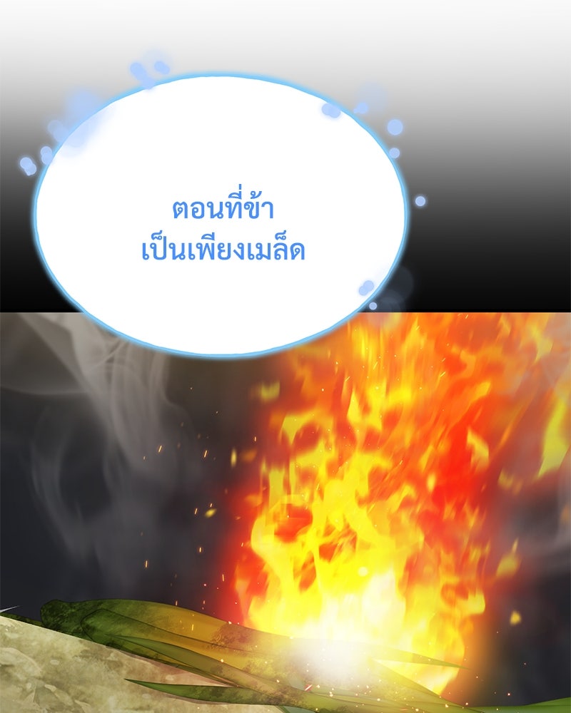 ปลูกผักพิชิตหอคอย - หน้า 26