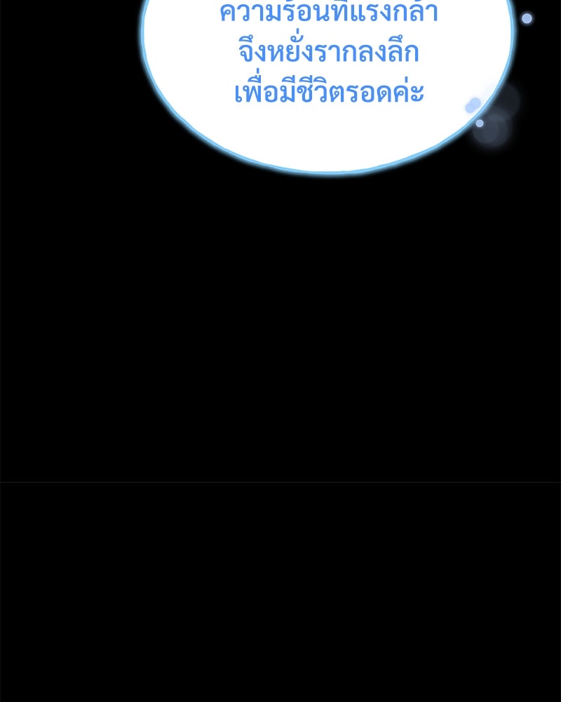 ปลูกผักพิชิตหอคอย - หน้า 28