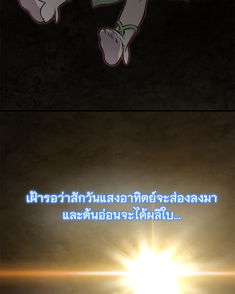 ปลูกผักพิชิตหอคอย - หน้า 43