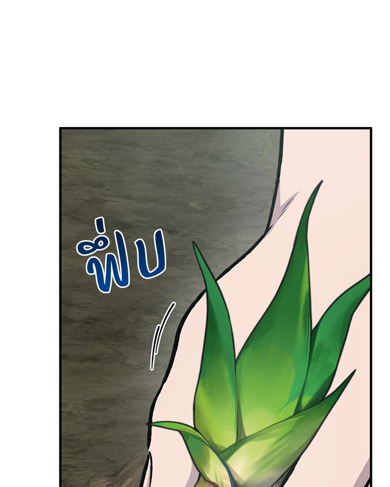 ปลูกผักพิชิตหอคอย - หน้า 145