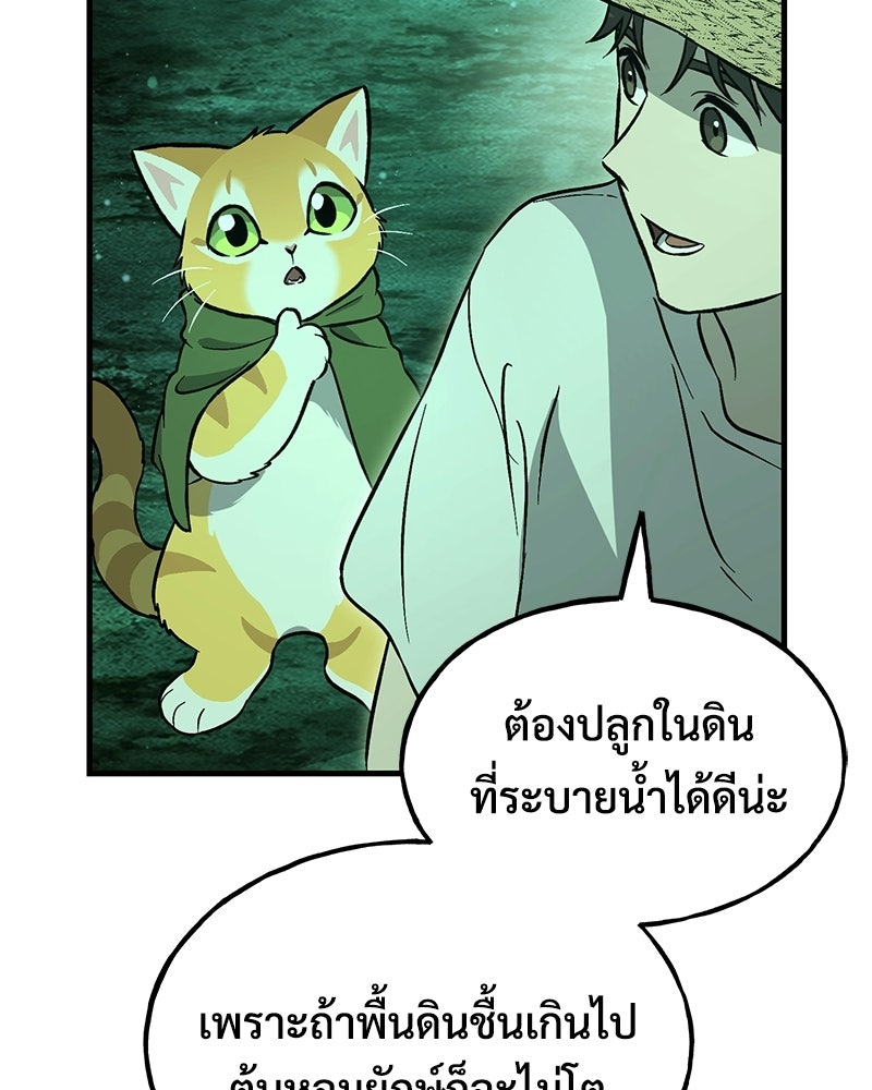 ปลูกผักพิชิตหอคอย - หน้า 32