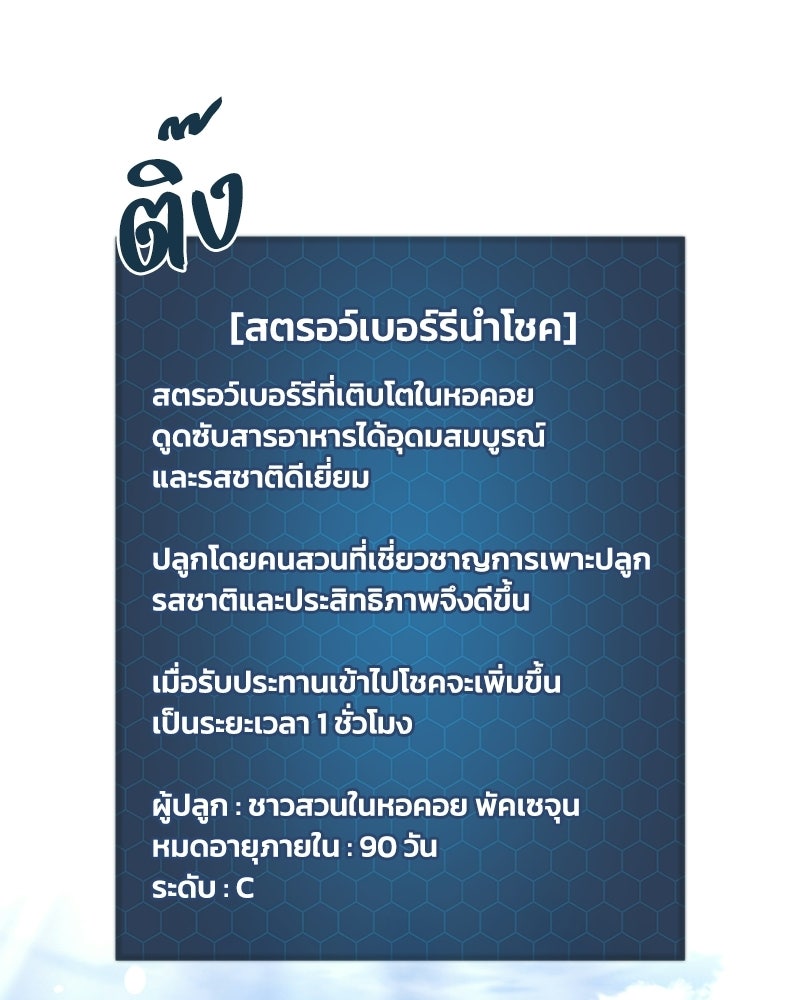ปลูกผักพิชิตหอคอย - หน้า 3