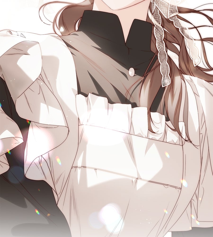 สาว(ลับ)ใช้ของท่านเคานต์ตาบอด - หน้า 133