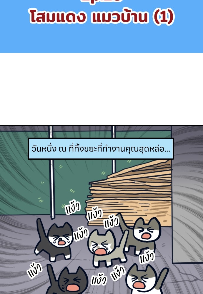 เจ้าสาวมันฝรั่ง - หน้า 2