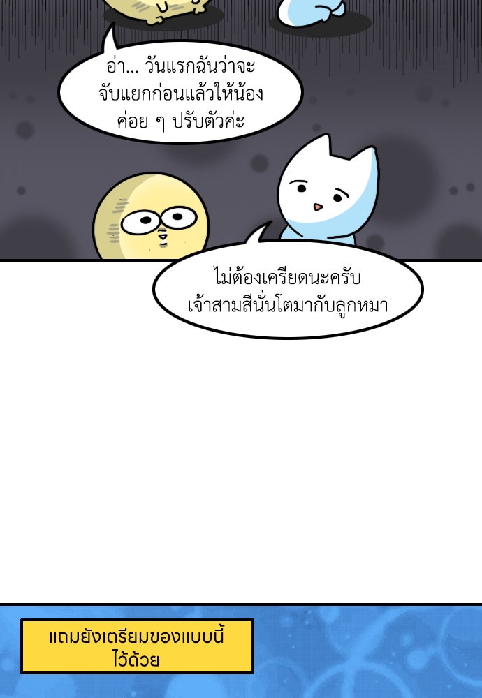 เจ้าสาวมันฝรั่ง - หน้า 11