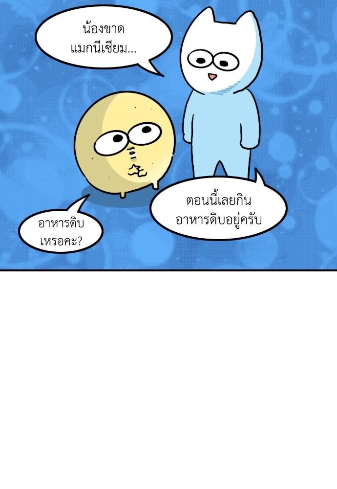 เจ้าสาวมันฝรั่ง - หน้า 12