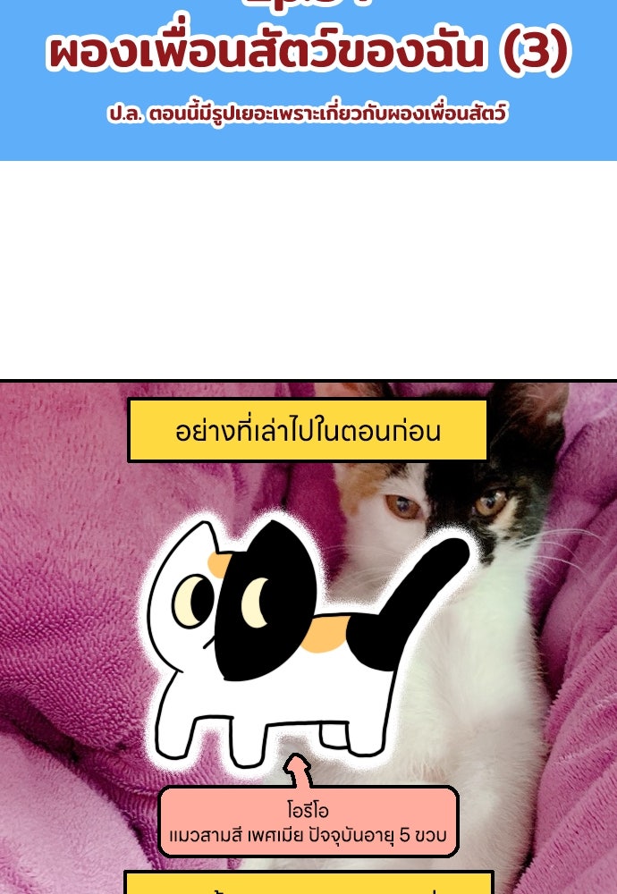 เจ้าสาวมันฝรั่ง - หน้า 2