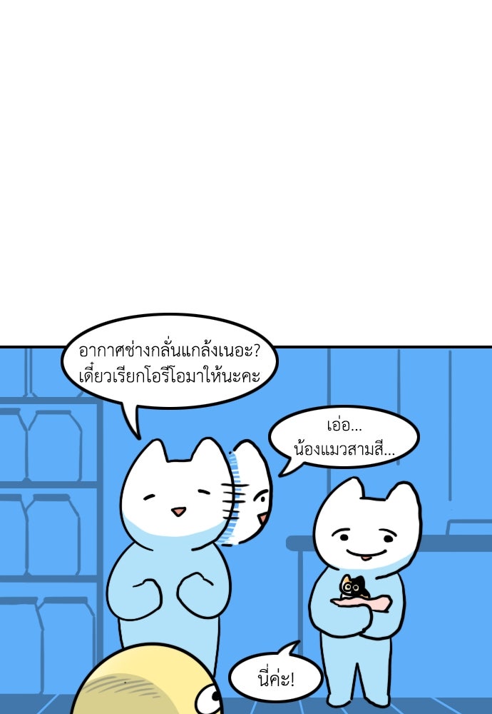 เจ้าสาวมันฝรั่ง - หน้า 22