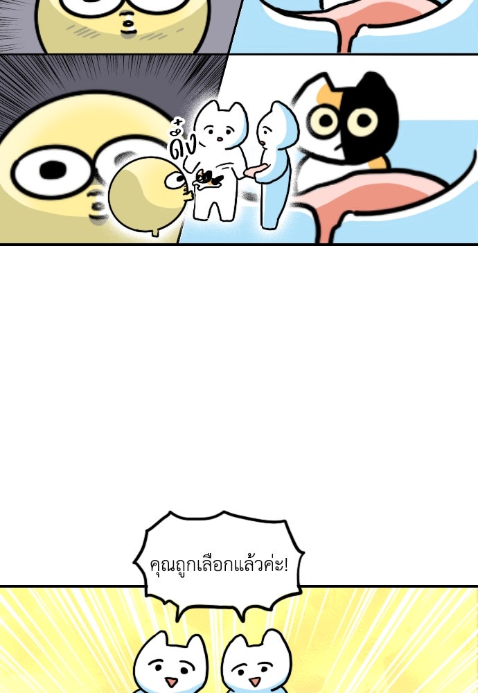 เจ้าสาวมันฝรั่ง - หน้า 24