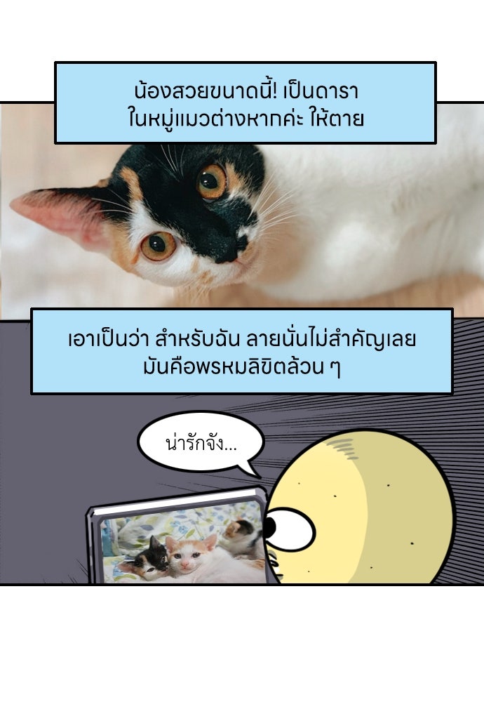 เจ้าสาวมันฝรั่ง - หน้า 7