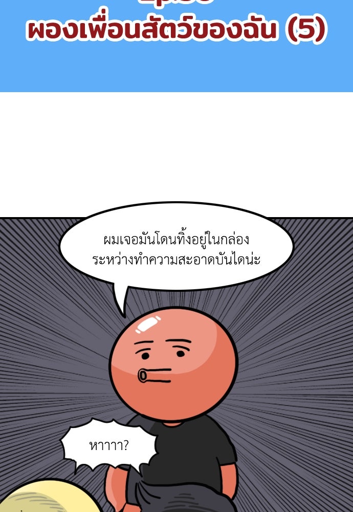 เจ้าสาวมันฝรั่ง - หน้า 2