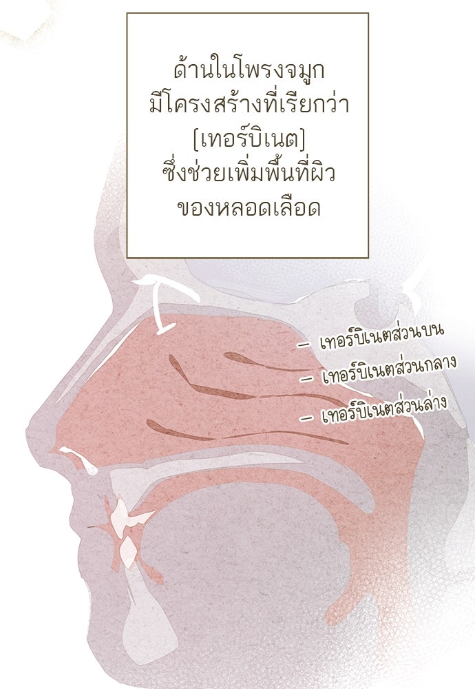 หมออังกฤษหัวใจเกาหลี - หน้า 24