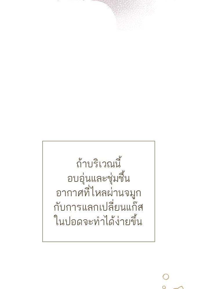 หมออังกฤษหัวใจเกาหลี - หน้า 25