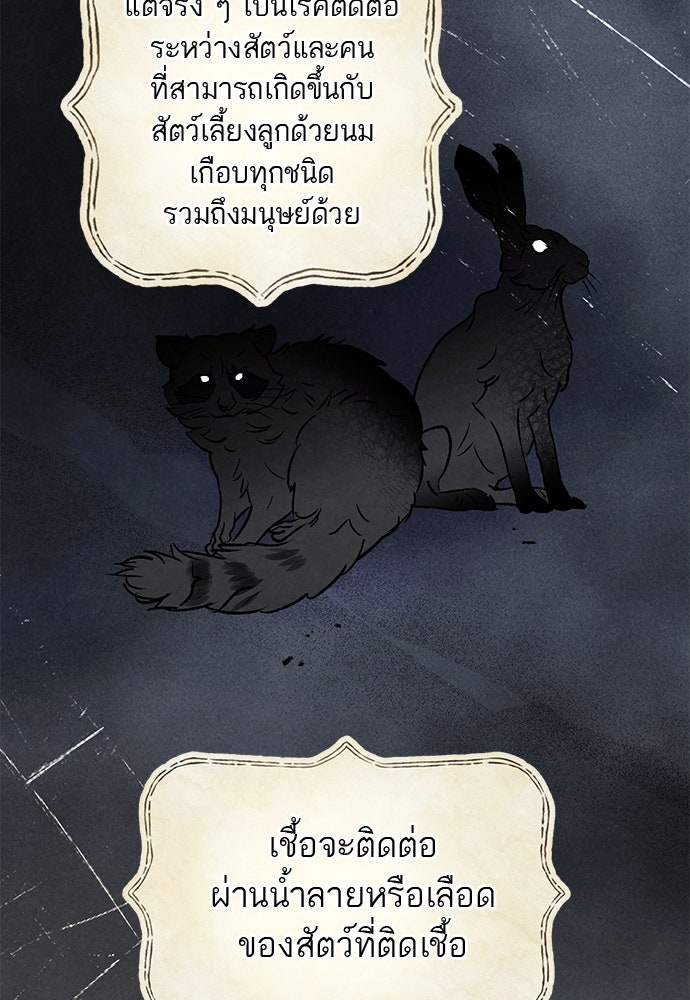 หมออังกฤษหัวใจเกาหลี - หน้า 3