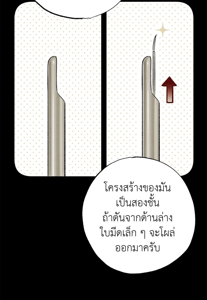 หมออังกฤษหัวใจเกาหลี - หน้า 31