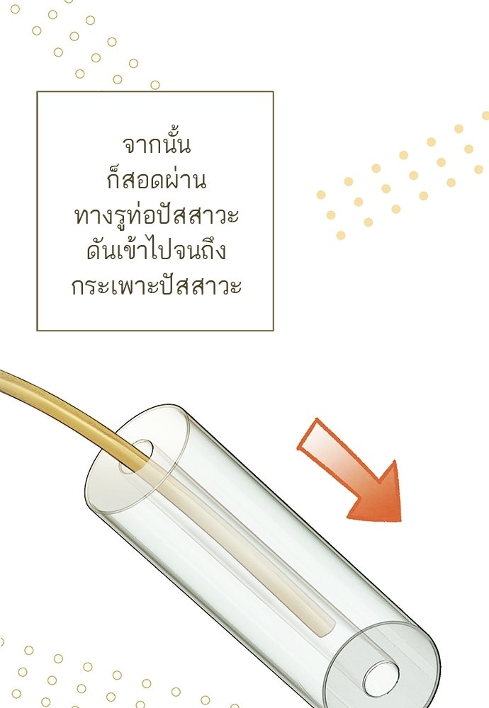 หมออังกฤษหัวใจเกาหลี - หน้า 7