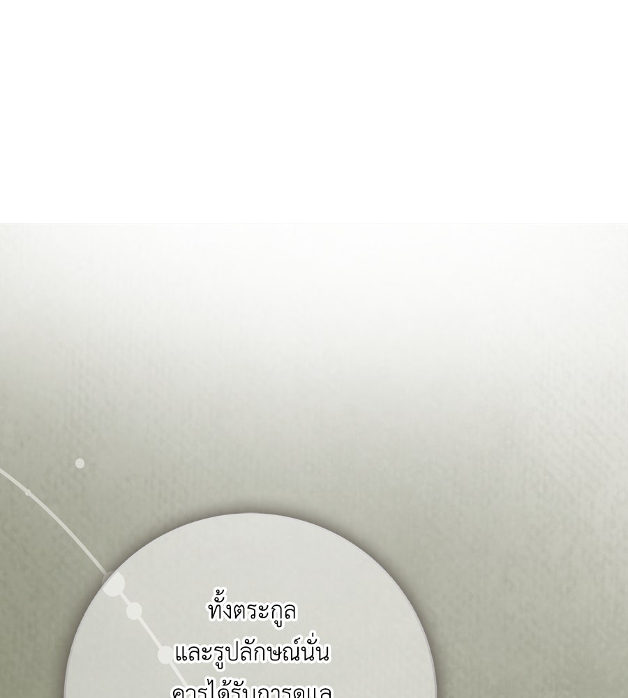 สุดยอดแม่สื่อแห่งลอนดอน - หน้า 116