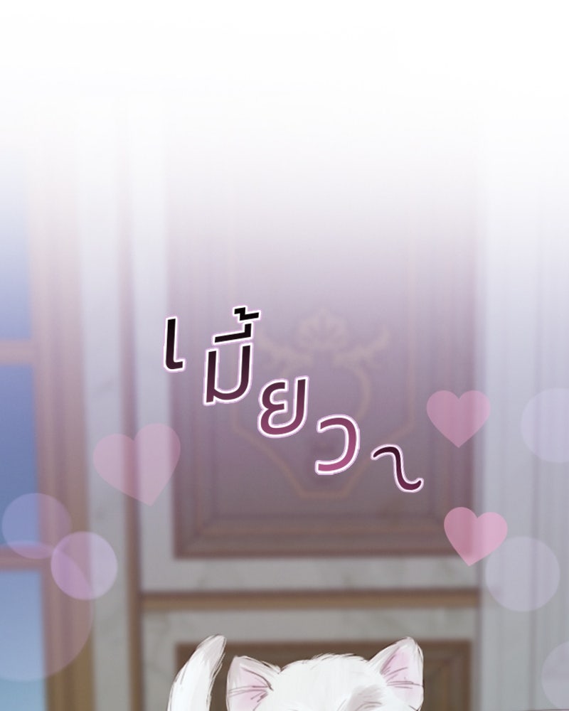 เซเรน่า - หน้า 55