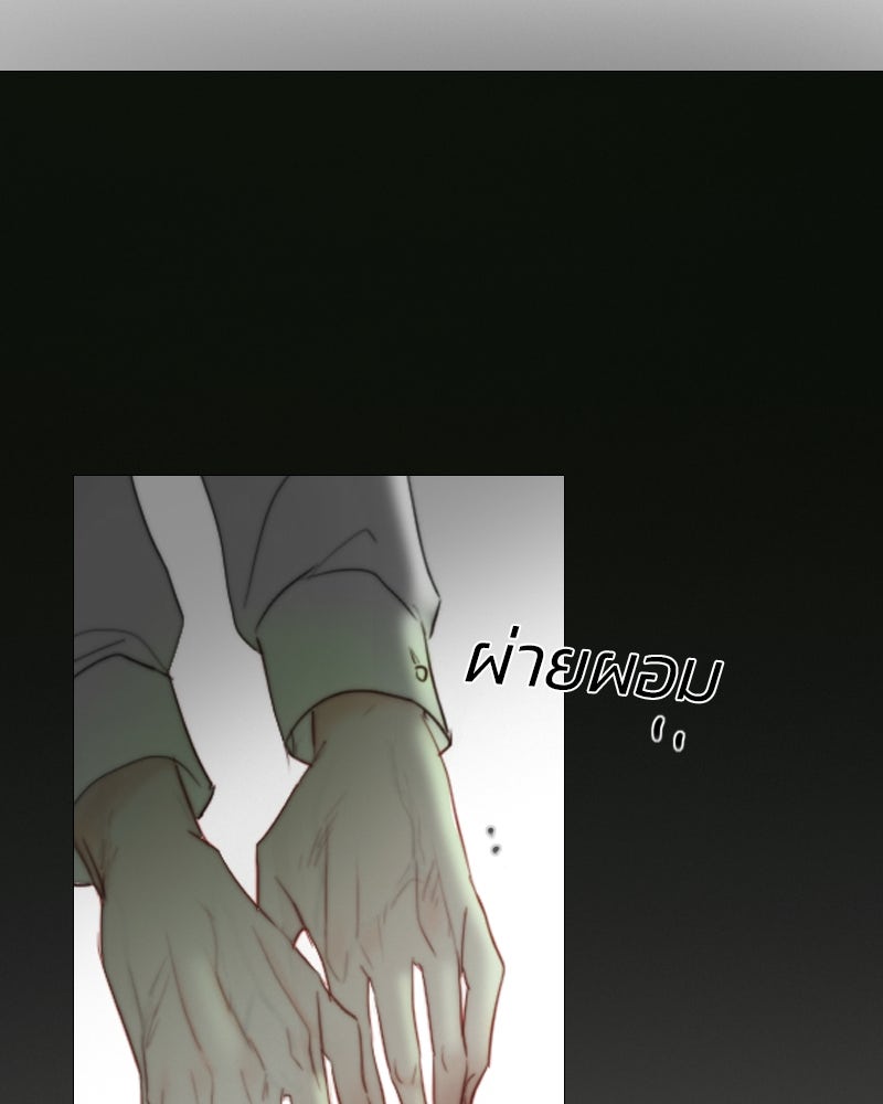 เซเรน่า - หน้า 142