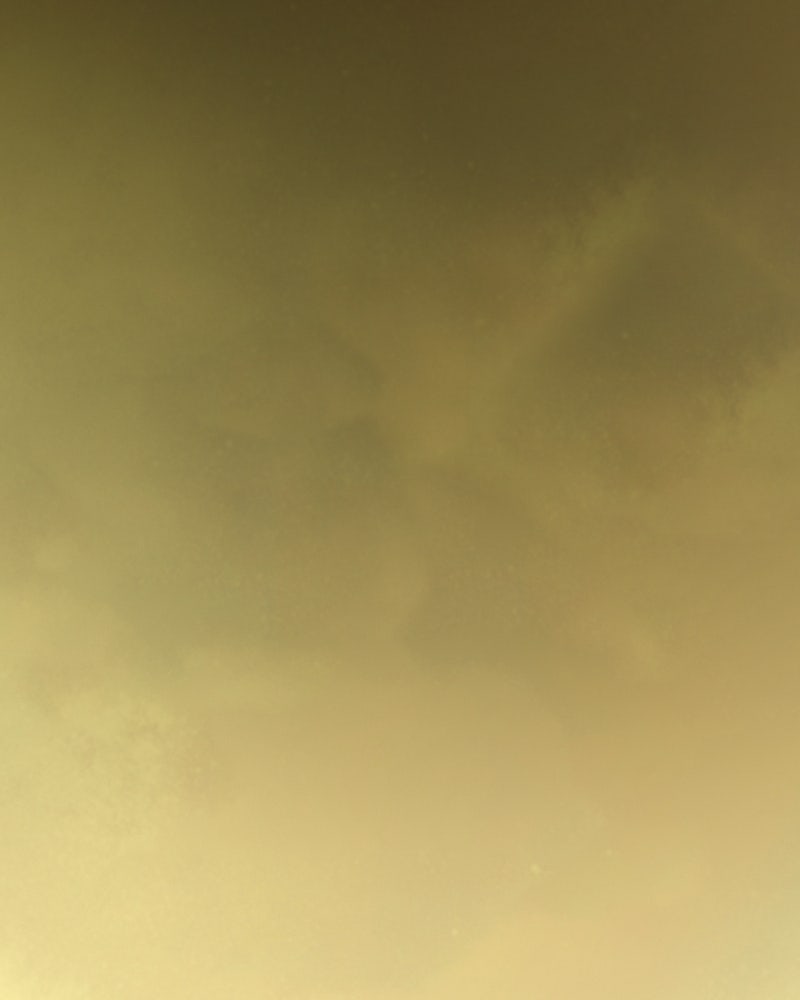 เซเรน่า - หน้า 16