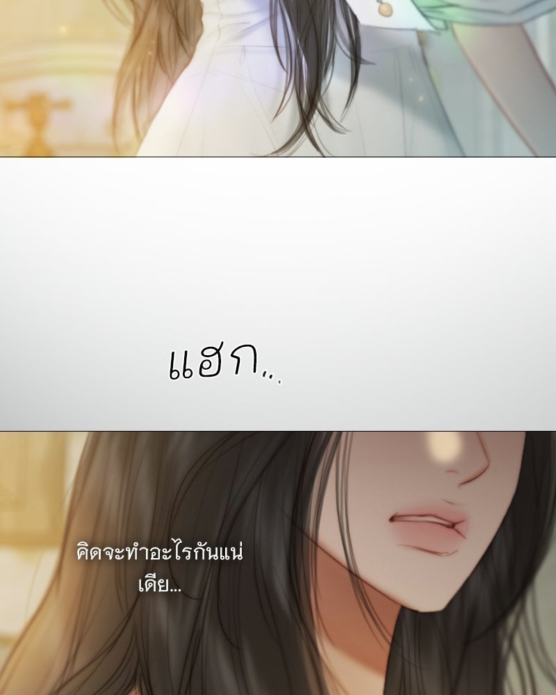 เซเรน่า - หน้า 3