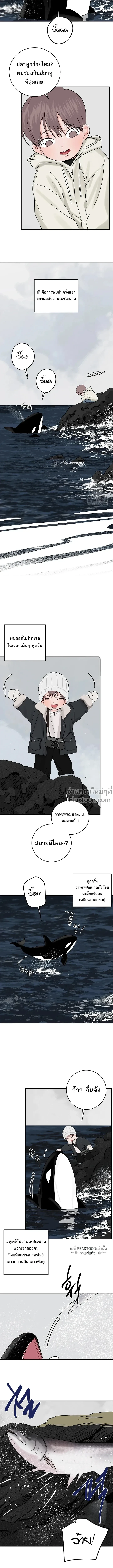 Orca Chase - ยุทธการไล่ล่าวาฬเพชฌฆาต - หน้า 8