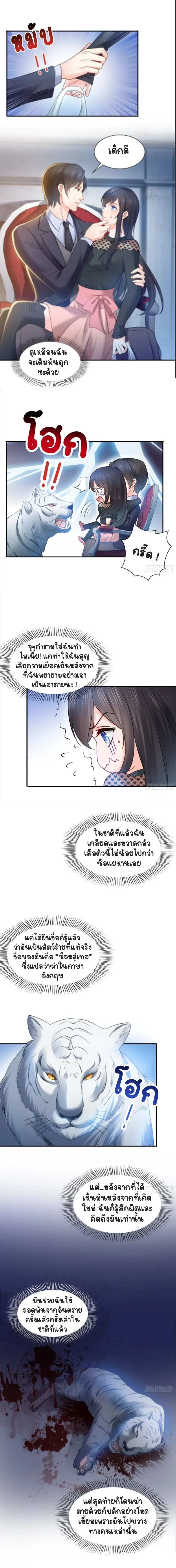 Perfect Secret Love The Bad New Wife Is a Little Sweet - รักลับๆ ที่สมบูรณ์แบบ ภรรยาคนใหม่ร้ายกาจแต่ก็น่ารักนิดๆ - หน้า 3