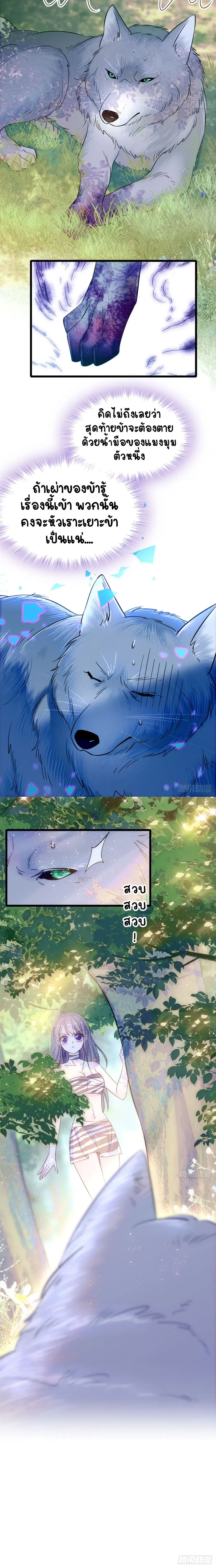The Romantic World of Beasts - โลกแห่งสัตว์แสนโรแมนติก - หน้า 6