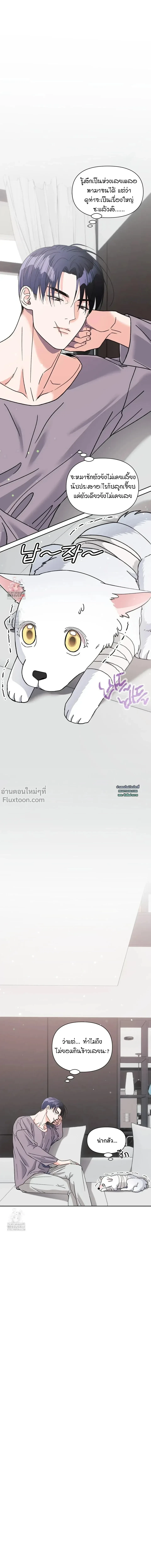 You Are So Lovely - เจ้าหมาสุดแสนน่ารัก - หน้า 2
