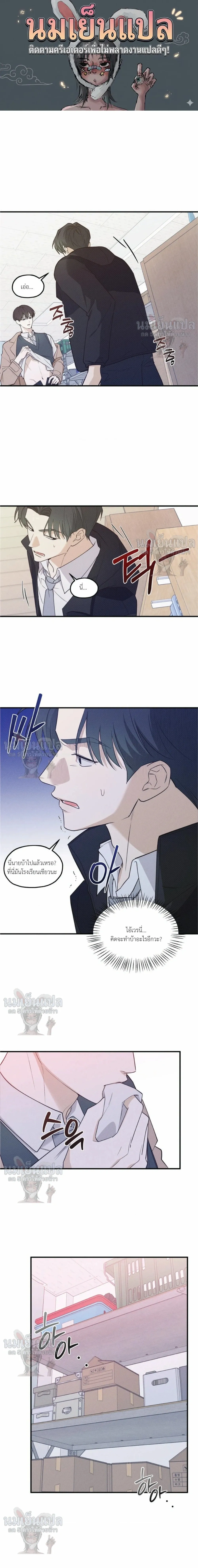 Error Analysis Report - รายงานวิเคราะห์ข้อผิดพลาด - หน้า 1