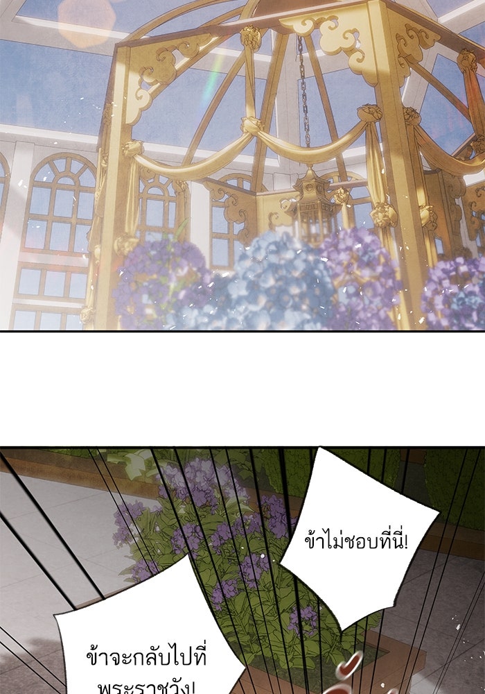 อาซา - หน้า 42