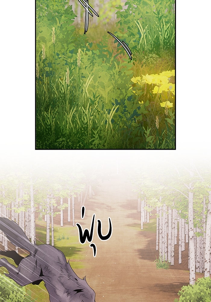 อาซา - หน้า 36