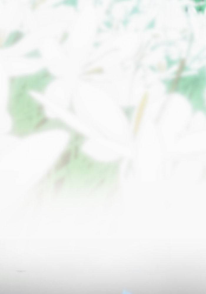 ยอดภรรยาของท่านลอร์ดแวมไพร์ - หน้า 58