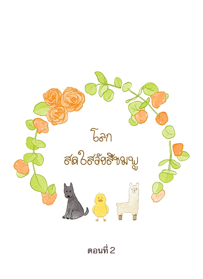 โลกสดใสวัยสีชมพู - หน้า 1