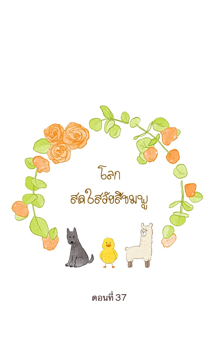 โลกสดใสวัยสีชมพู - หน้า 1
