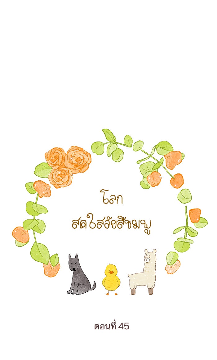 โลกสดใสวัยสีชมพู - หน้า 1