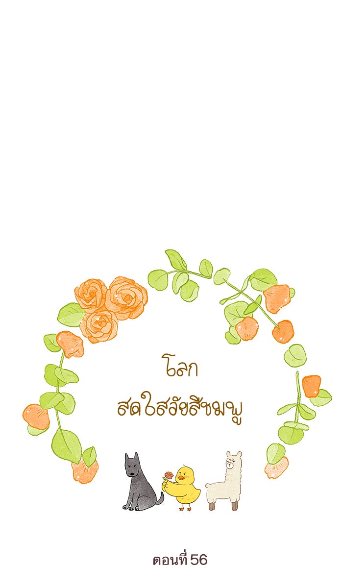 โลกสดใสวัยสีชมพู - หน้า 1