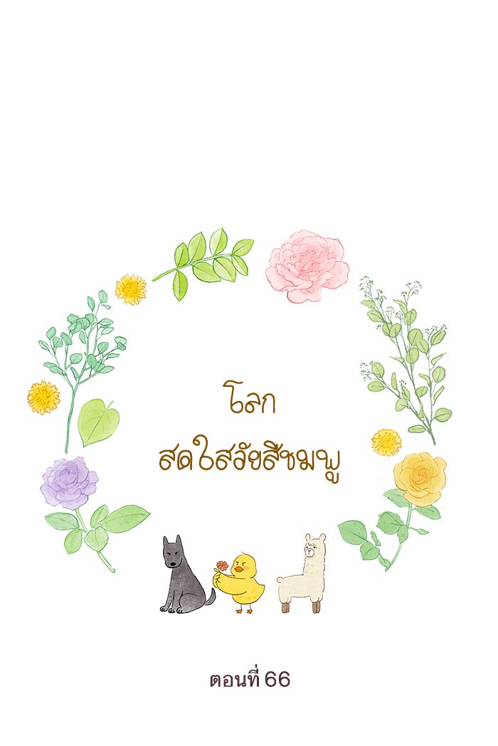 โลกสดใสวัยสีชมพู - หน้า 1