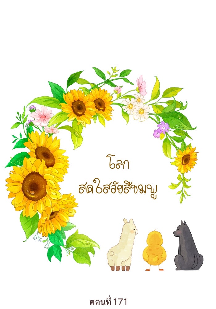 โลกสดใสวัยสีชมพู - หน้า 1