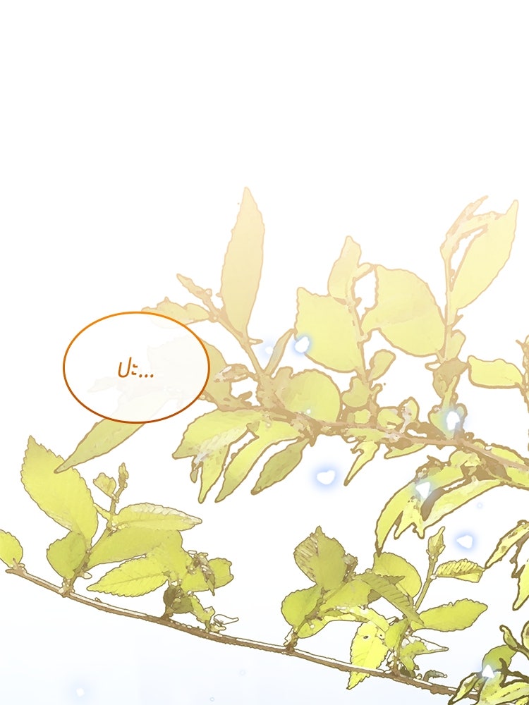 สวนดอกไม้ของเจ้าหญิง - หน้า 3