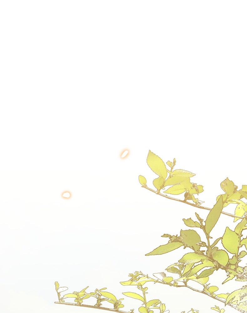 สวนดอกไม้ของเจ้าหญิง - หน้า 96