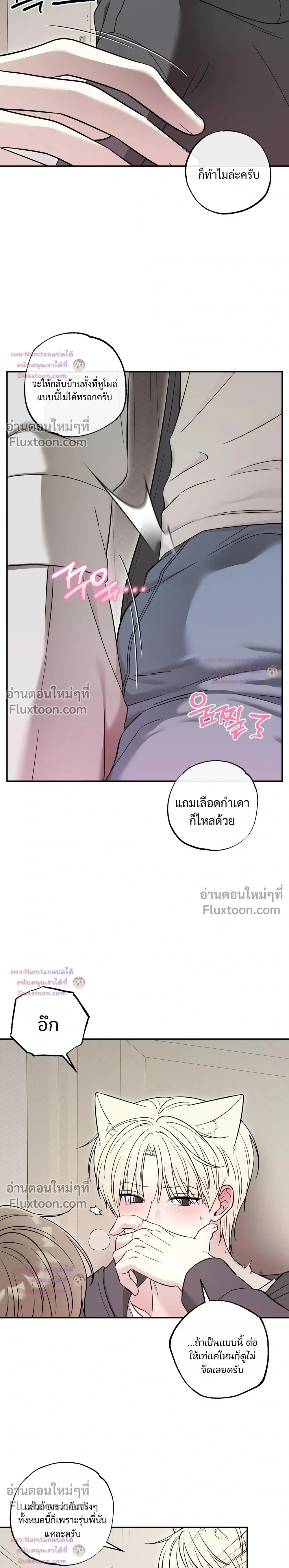 The Purrfect Match - แฟนหนุ่มแมวเหมียว - หน้า 17