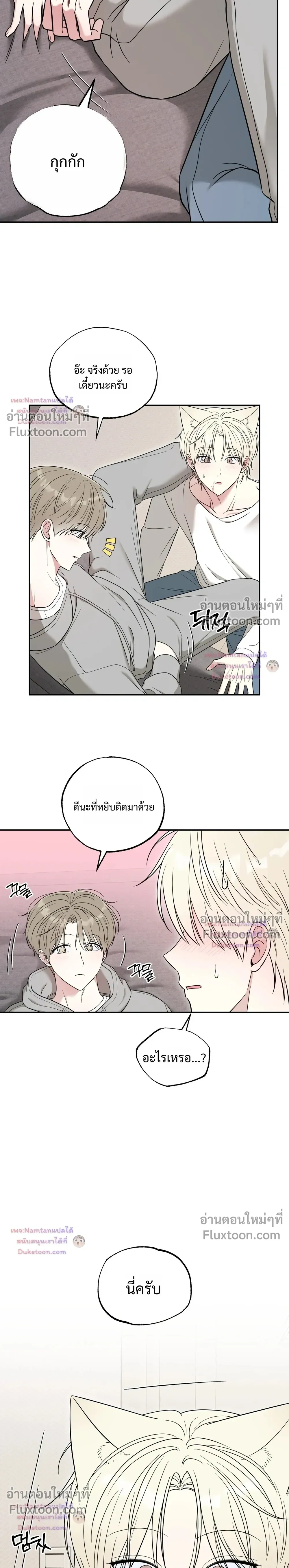 The Purrfect Match - แฟนหนุ่มแมวเหมียว - หน้า 2