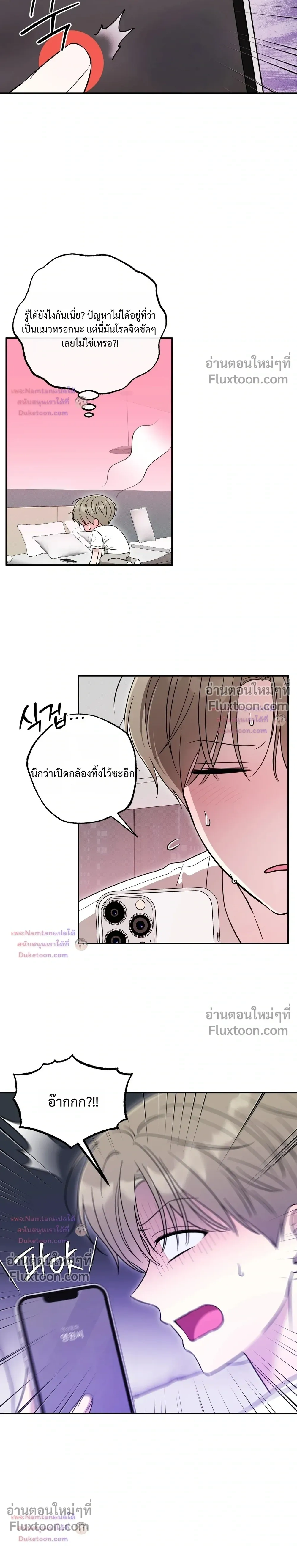The Purrfect Match - แฟนหนุ่มแมวเหมียว - หน้า 2