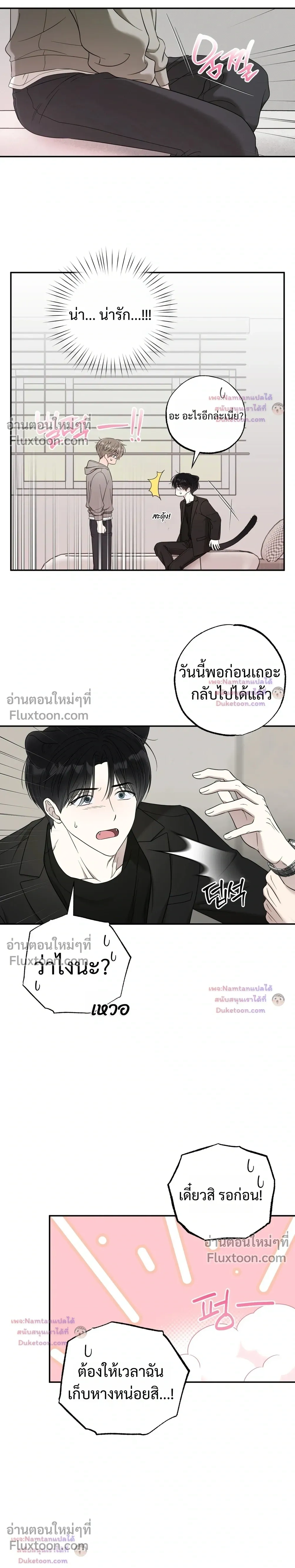 The Purrfect Match - แฟนหนุ่มแมวเหมียว - หน้า 21