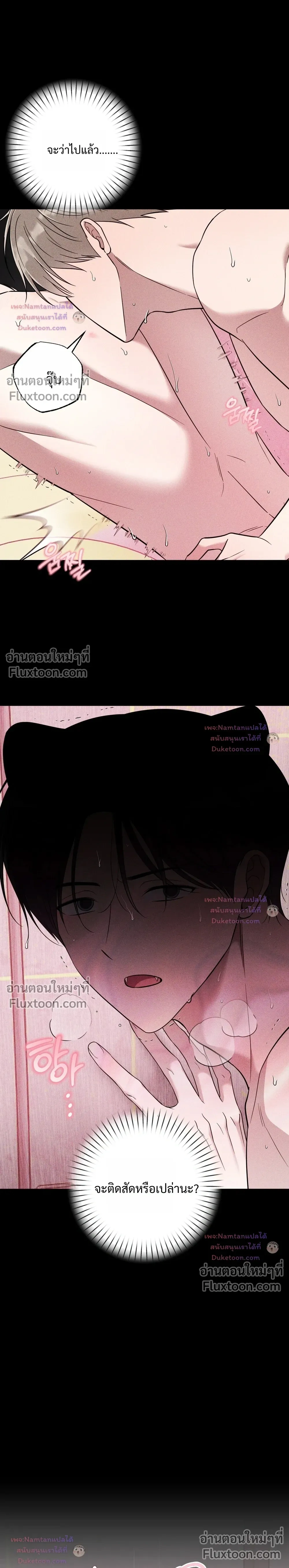 The Purrfect Match - แฟนหนุ่มแมวเหมียว - หน้า 4